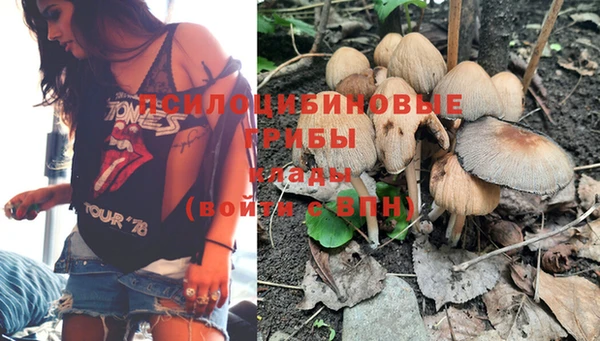 а пвп мука Бугульма