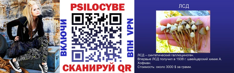 купить наркотики сайты  Жуковский  Галлюциногенные грибы GOLDEN TEACHER 