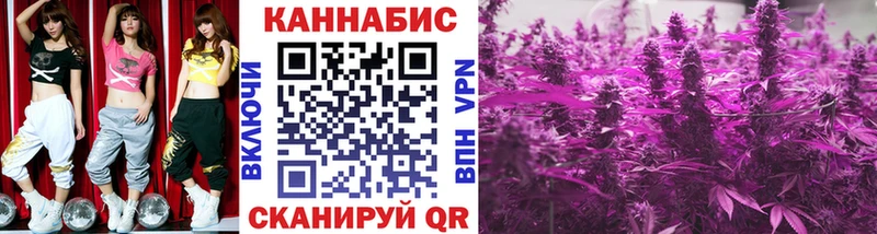 Канабис план Жуковский